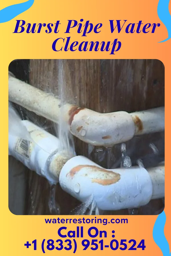 Burst Pipe Water Cleanup in Riverside, NY