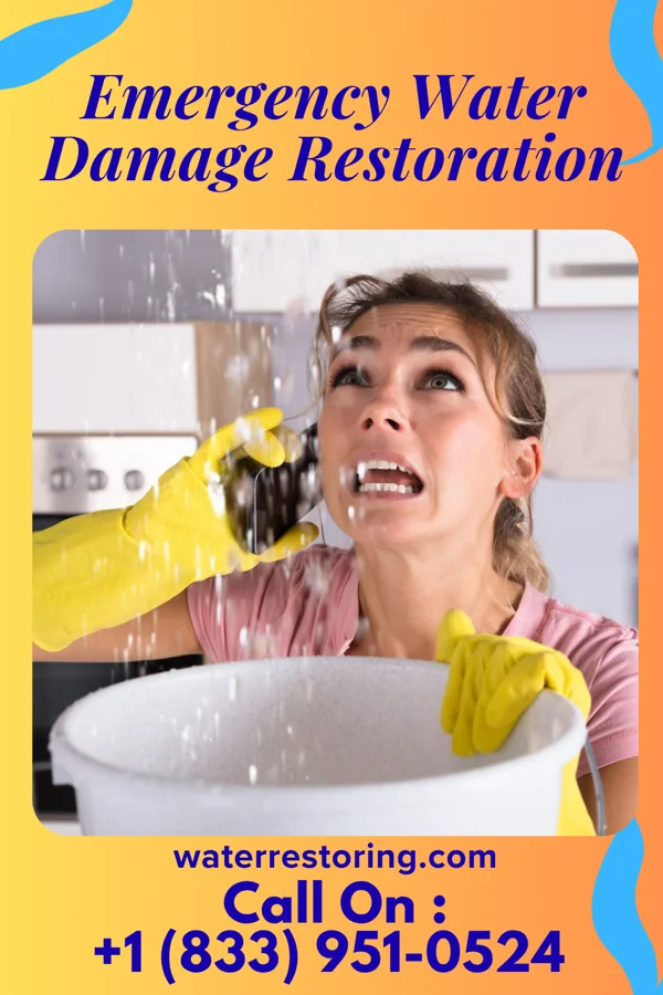 Emergency Water Damage Restoration in Riverside, NY